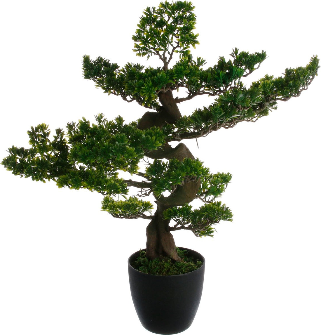 Atmosphera Artificial Bonsai Tree with pot - H80 cm - Plant
