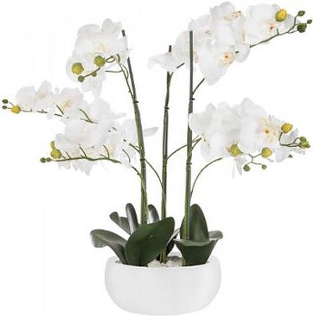 ARTIFICIAL ORCHID - Orchid flower - WHITE - WHITE CERAMIC POT - HEIGHT 65 CM