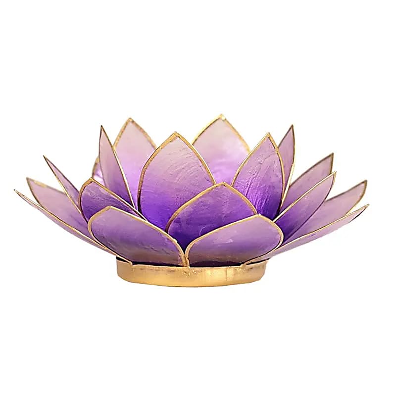 Photophore lotus violet bordure dorée