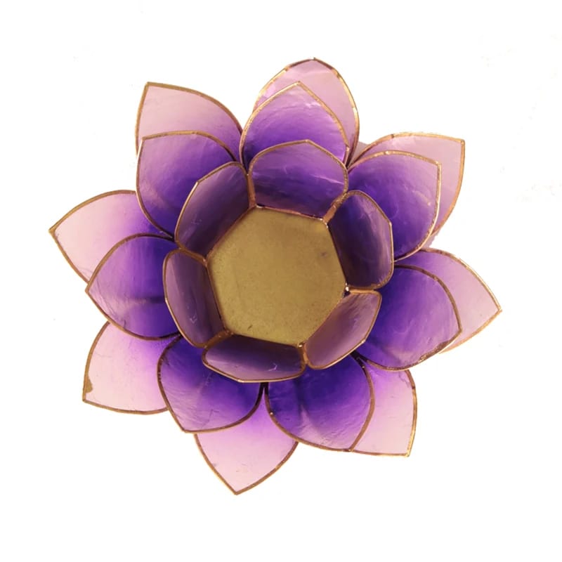 Photophore lotus violet bordure dorée