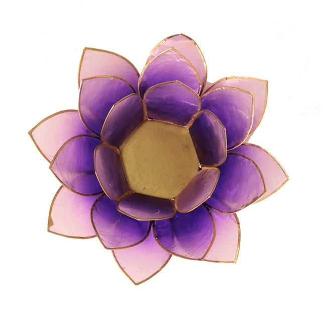 Lotus Windlicht Violet Goldrand
