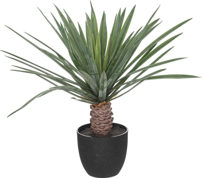 Atmosphera Kunstplant Rivi - Plant met pot - Ø50x52cm - Groen
