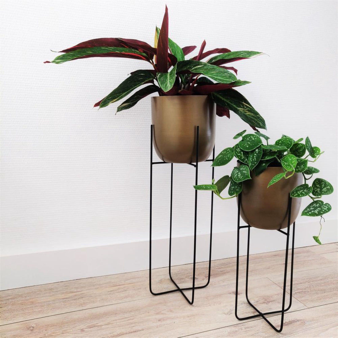 Standing Plant Pot Round Metal Gold Set of 2