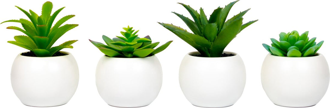 Plante artificielle Atmosphera - Fausse plante - Blanc - Lot de 4 - Pour intérieur - Avec pot - Rond