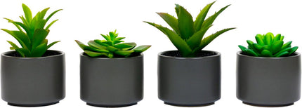 Atmosphera Kunstplant - Nepplant - Grijs - Set van 4 - Voor Binnen - Met Pot