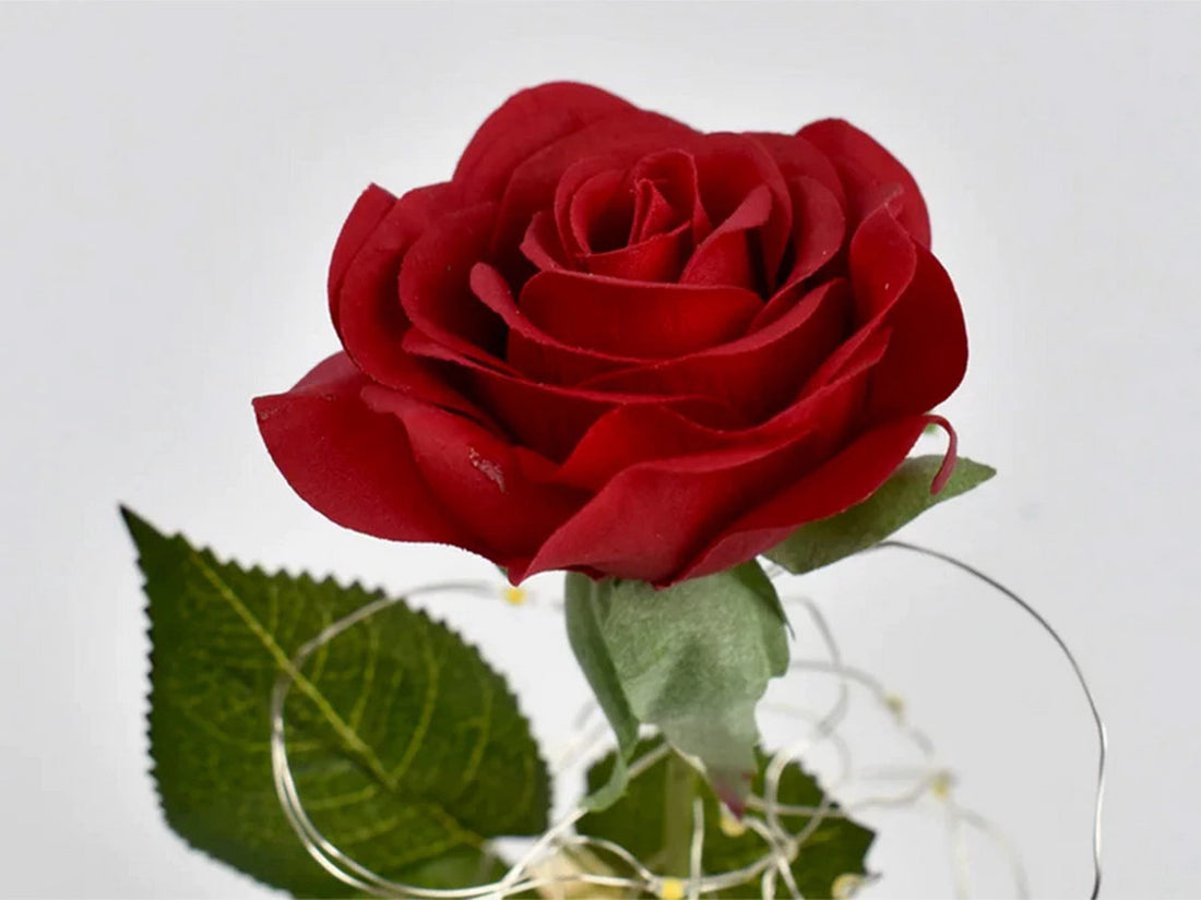 Forever Rose in glazen case – rode kunstroos met ledverlichting – foto 3