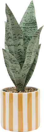 Atmosphera Kunstpflanze Sansevieria Chéri mit Keramiktopf - Ø12xH38cm - Orange