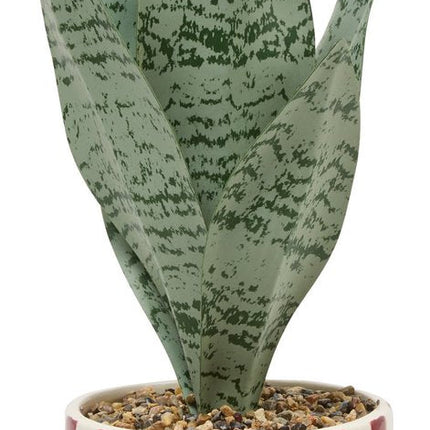 Atmosphera Kunstpflanze Sansevieria Chéri mit Keramiktopf - Ø12xH38cm - Rot