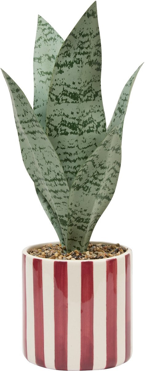Plante artificielle Atmosphera Sansevieria Chéri avec pot en céramique - Ø12xH38 cm - Rouge