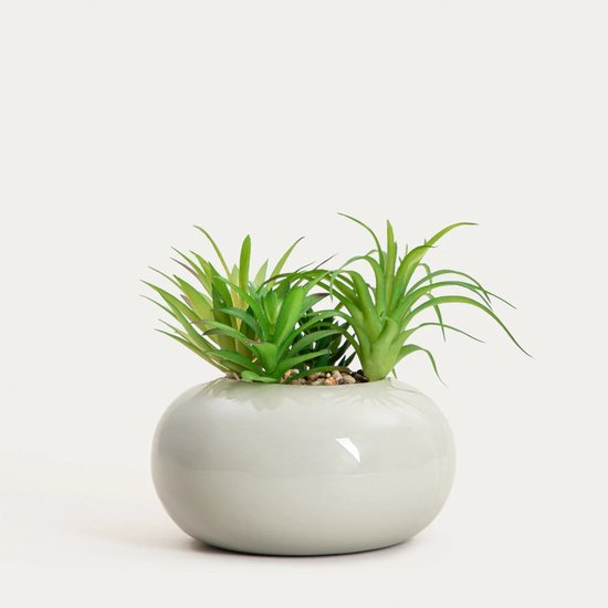 HOMLA - Artificial Plant - Succulent in Pot - 19 cm