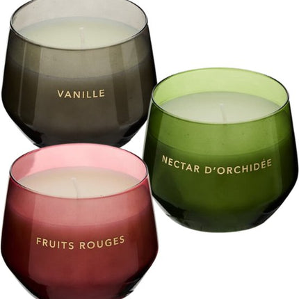 Geurkaars - Glowy Geurkaars in Glazen Pot - Vanille - Orchid - Rode Vruchten - Scented Candle - Set van 3 - Luxe Sfeerverlichting - 40 Branduren - 300g - Ø10 x 7.8 cm - Zwart / Groen / Rood
