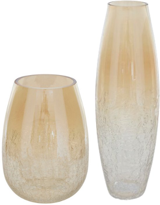Vase - Vase à fleurs - Vase en verre - Set de 2 - Verre craquelé - Décoration d'intérieur de luxe - 25 cm et 39 cm de hauteur - Transparent