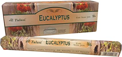 Tulasi Eukalyptus