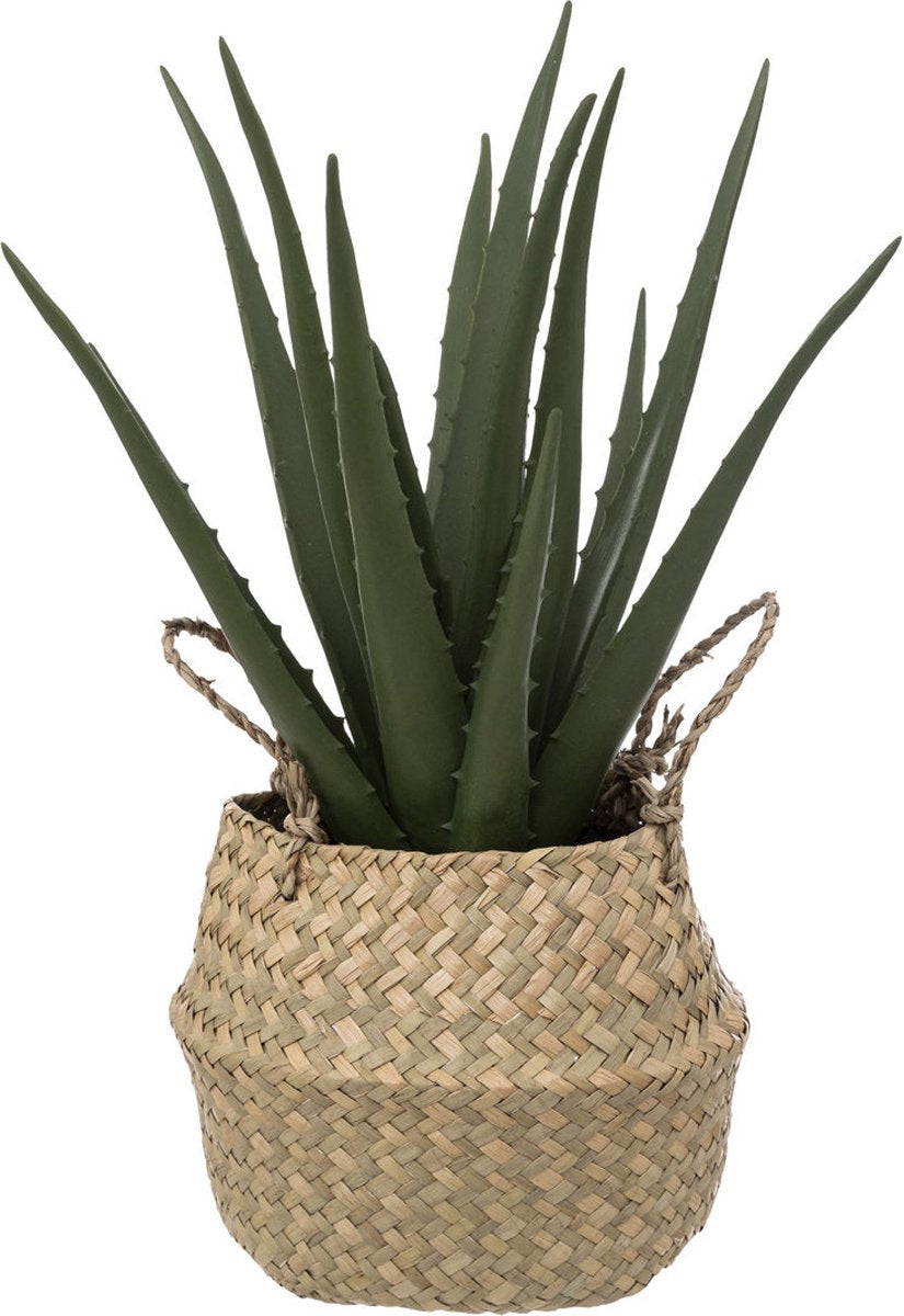 Plante artificielle ALOÈ dans un panier, 37 cm