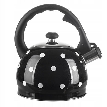 Fluitketel zwart stippel 2 liter