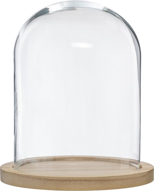Wohndekoration Glasglocke auf Holzplatte - Glas/Hellbraun - D23 x H29,5 cm