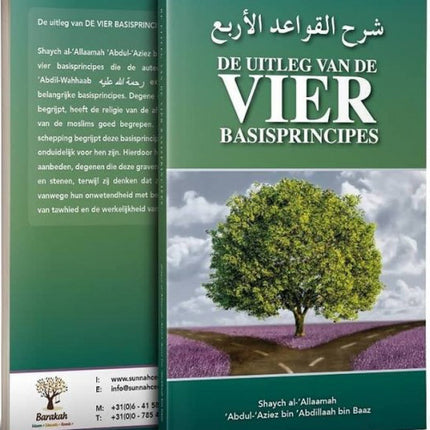 Die Erklärung der VIER Grundprinzipien