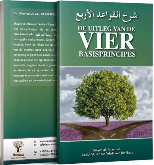 Die Erklärung der VIER Grundprinzipien