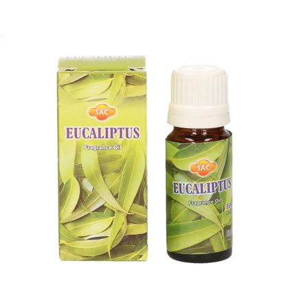 DUFTÖL EUKALYPTUS