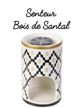 Oil burner