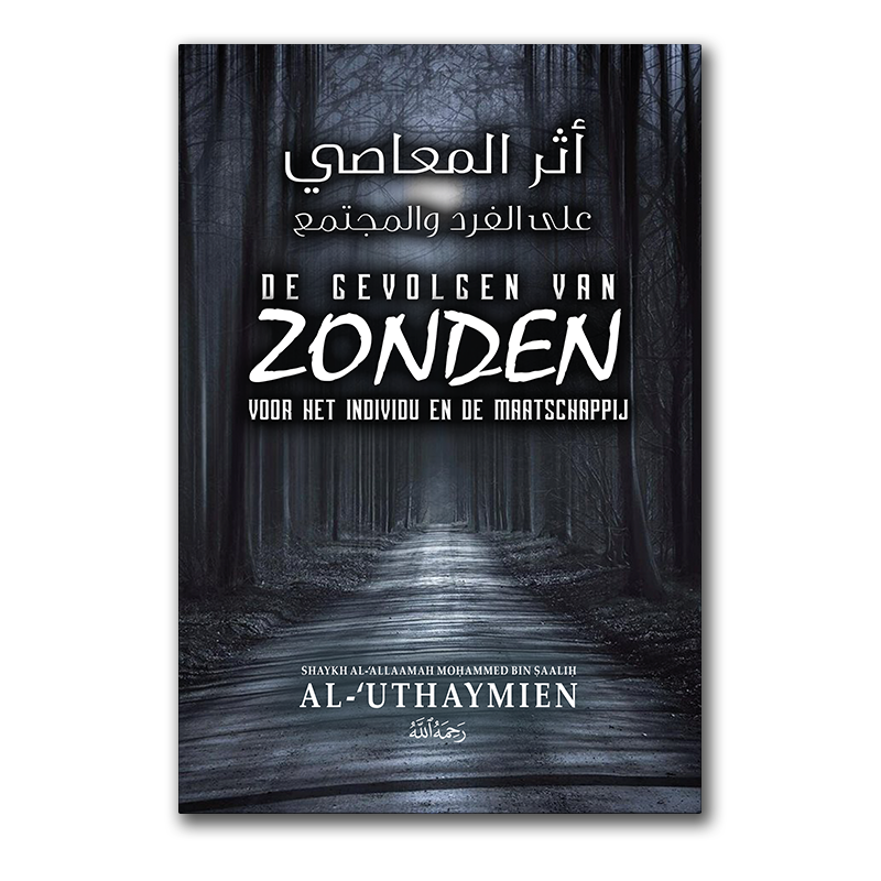 De gevolgen van zonden voor het individu en de maatschappij – boek