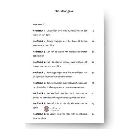 Einen Dschinn heiraten