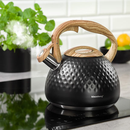 Klausberg KB-7562 - Wasserkocher - 2,8 L - Edelstahl - alle Herdarten