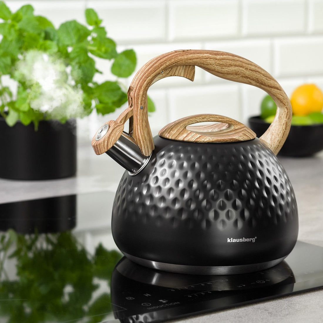 Klausberg KB-7562 - bouilloire sifflante - 2,8 L - acier inoxydable - toutes sources de chaleur