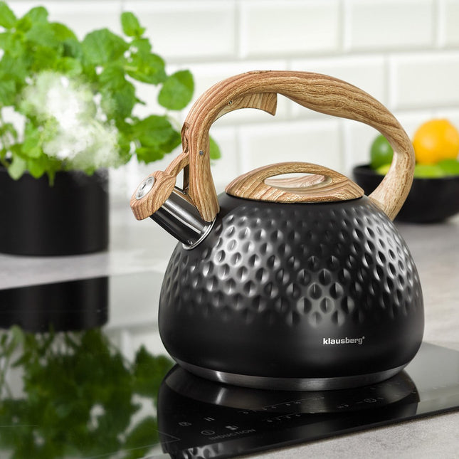 Klausberg KB-7562 - Wasserkocher - 2,8 L - Edelstahl - alle Herdarten