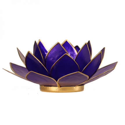 Lotus Teelicht indigo