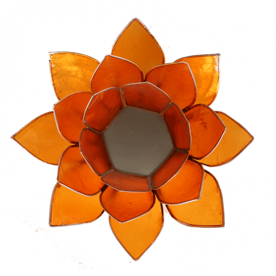 Photophore Lotus orange