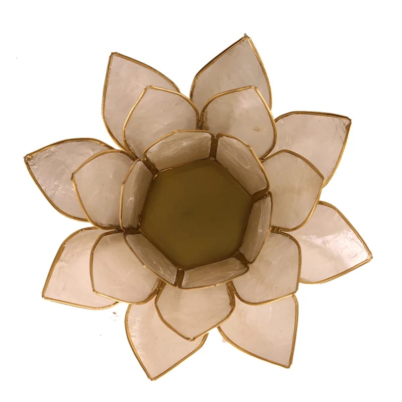 Photophore Lotus nacré à bord doré