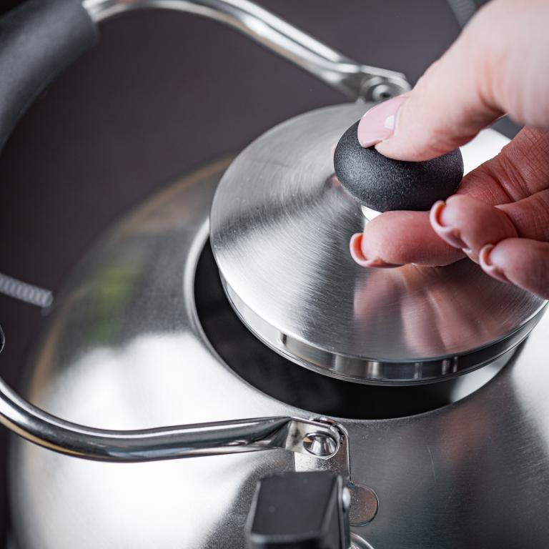 Bouilloire sifflante en inox KingHoff 2,5 L – Compatible avec toutes sources de chaleur, avec sifflet et poignée ergonomique
