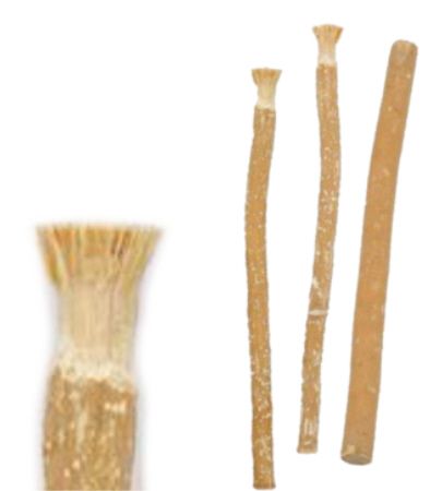 Bâton de Miswak Naturel