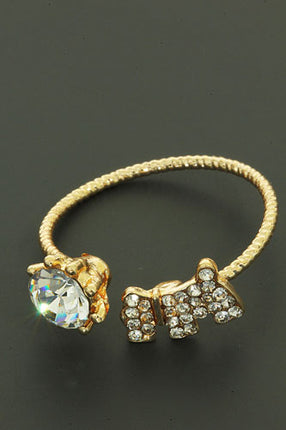 Valentijn Ring