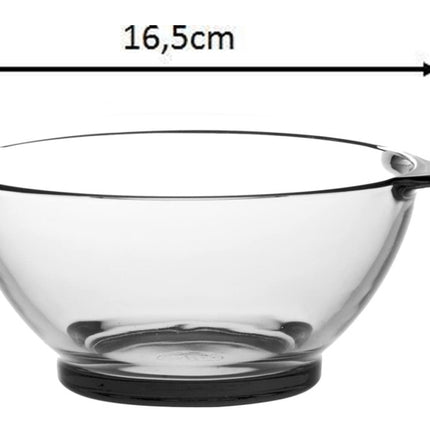 Glassuppenschalen mit Henkeln - Set 6 Stück