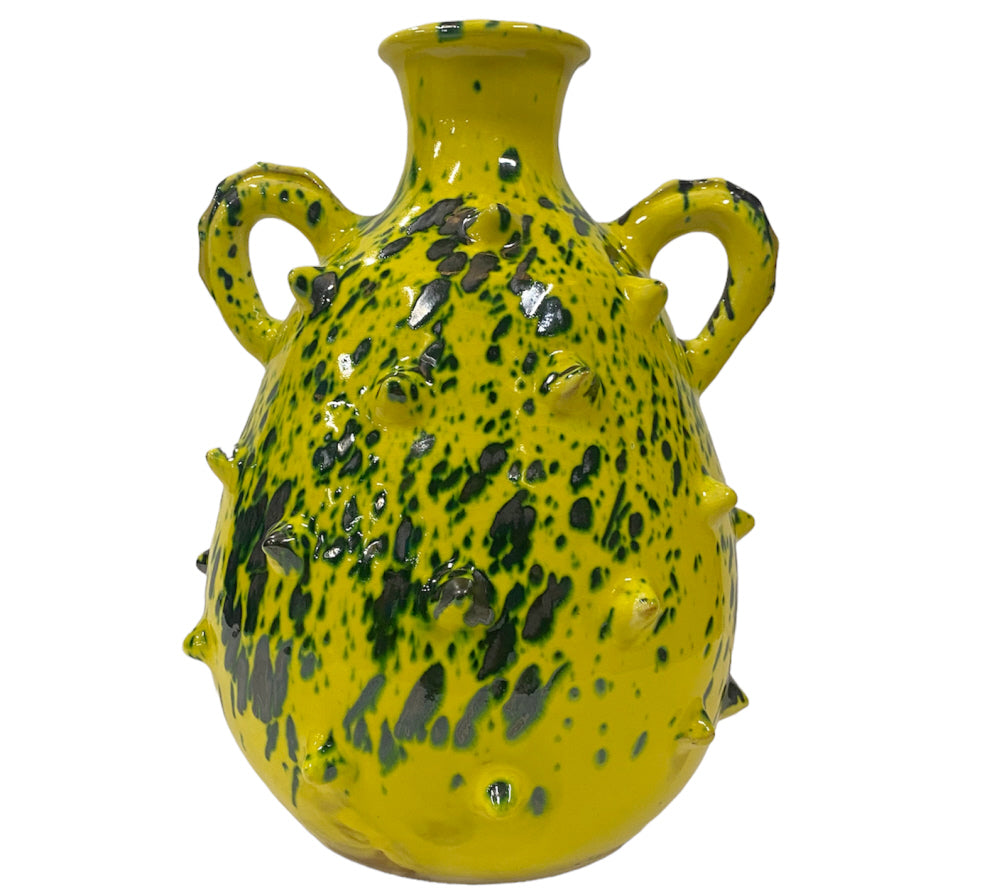 Vase cruche piquants à deux anses