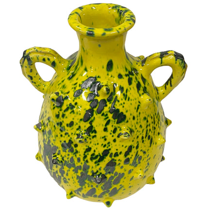 Vaas kruik stekels met twee oren