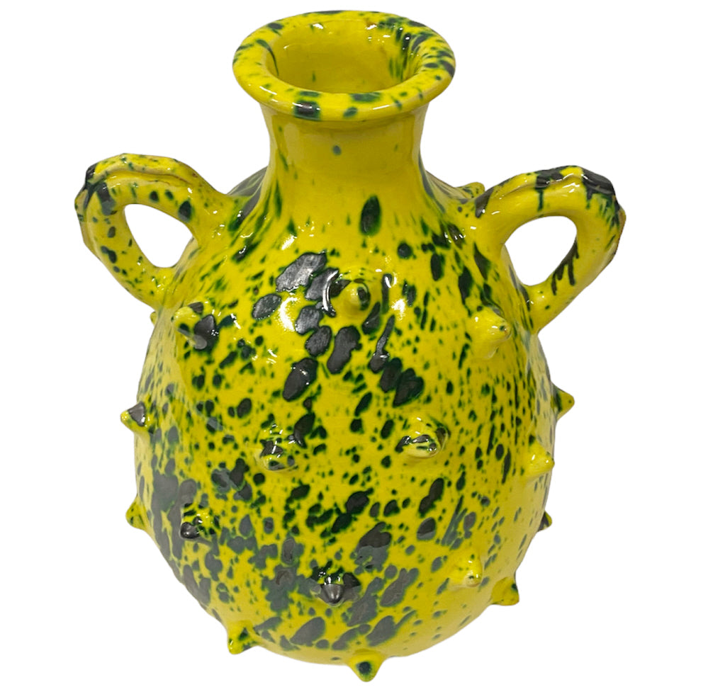 Vase cruche piquants à deux anses