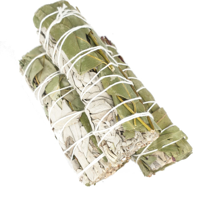 WITTE SALIE & EUCALYPTUS SMUDGE 12CM